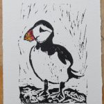 Puffin