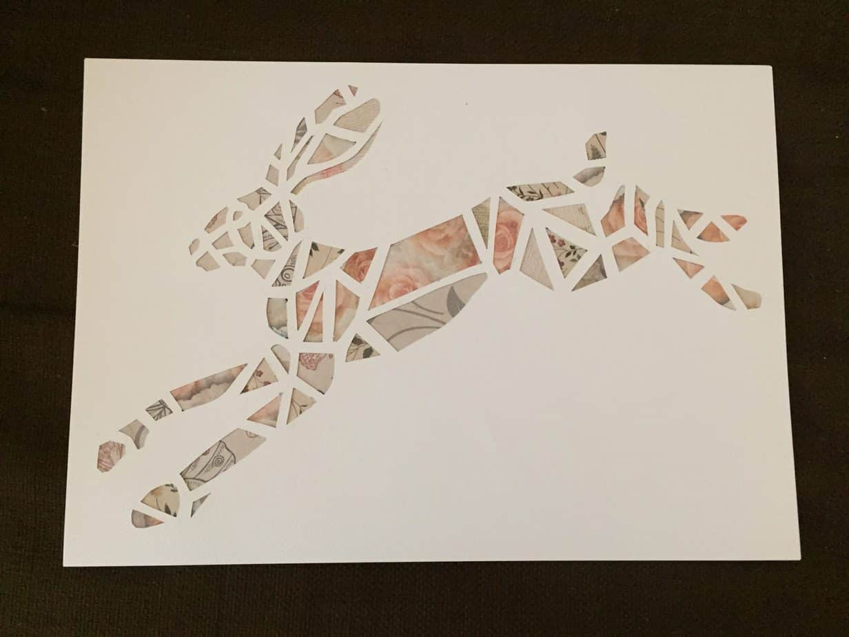 Hare Image - Image 2