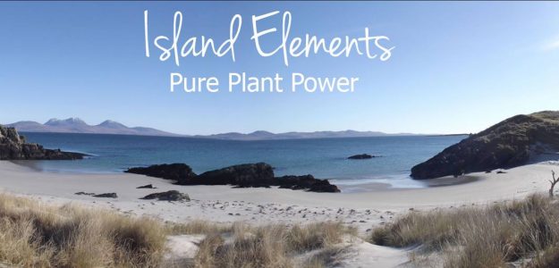 Island Elements