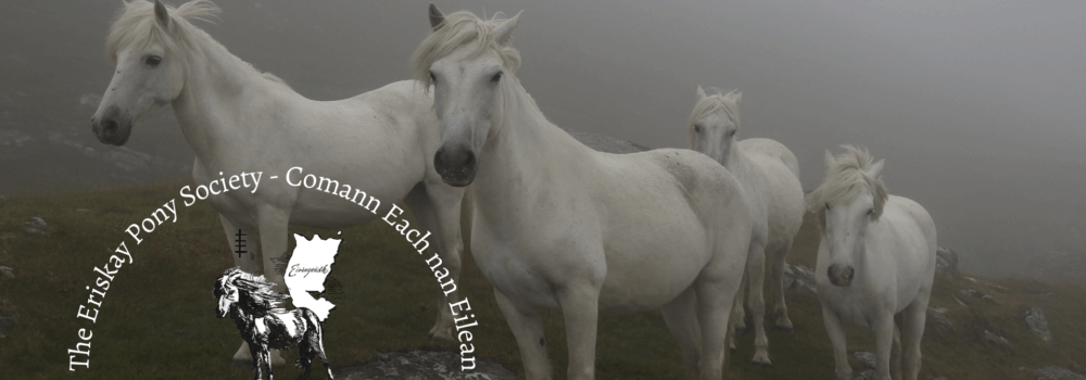 Comann Each nan Eilean - The Eriskay Pony Society