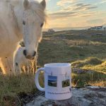 Eriskay Pony mug