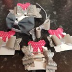 School pack of bows