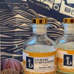 Skerryvore – Guardian Angel of the Night – Diffuser