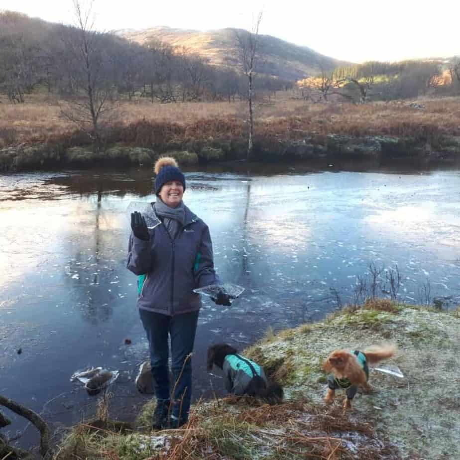 Willow Cottage Crafts