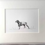 Pointer Dog Print