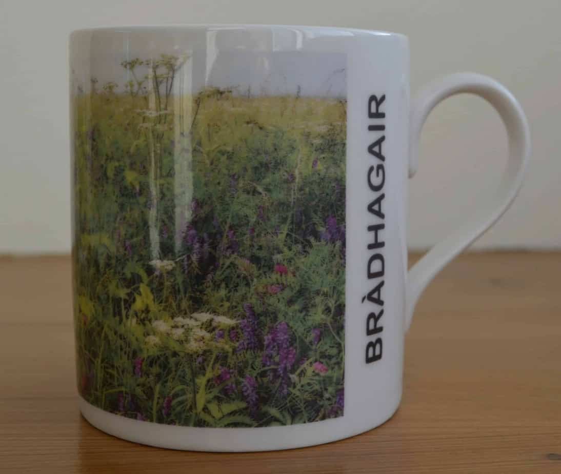 Bràdhagair Àrnol Mug
