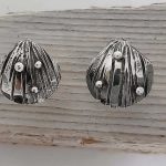 Mini Cockle Shell Ear Studs