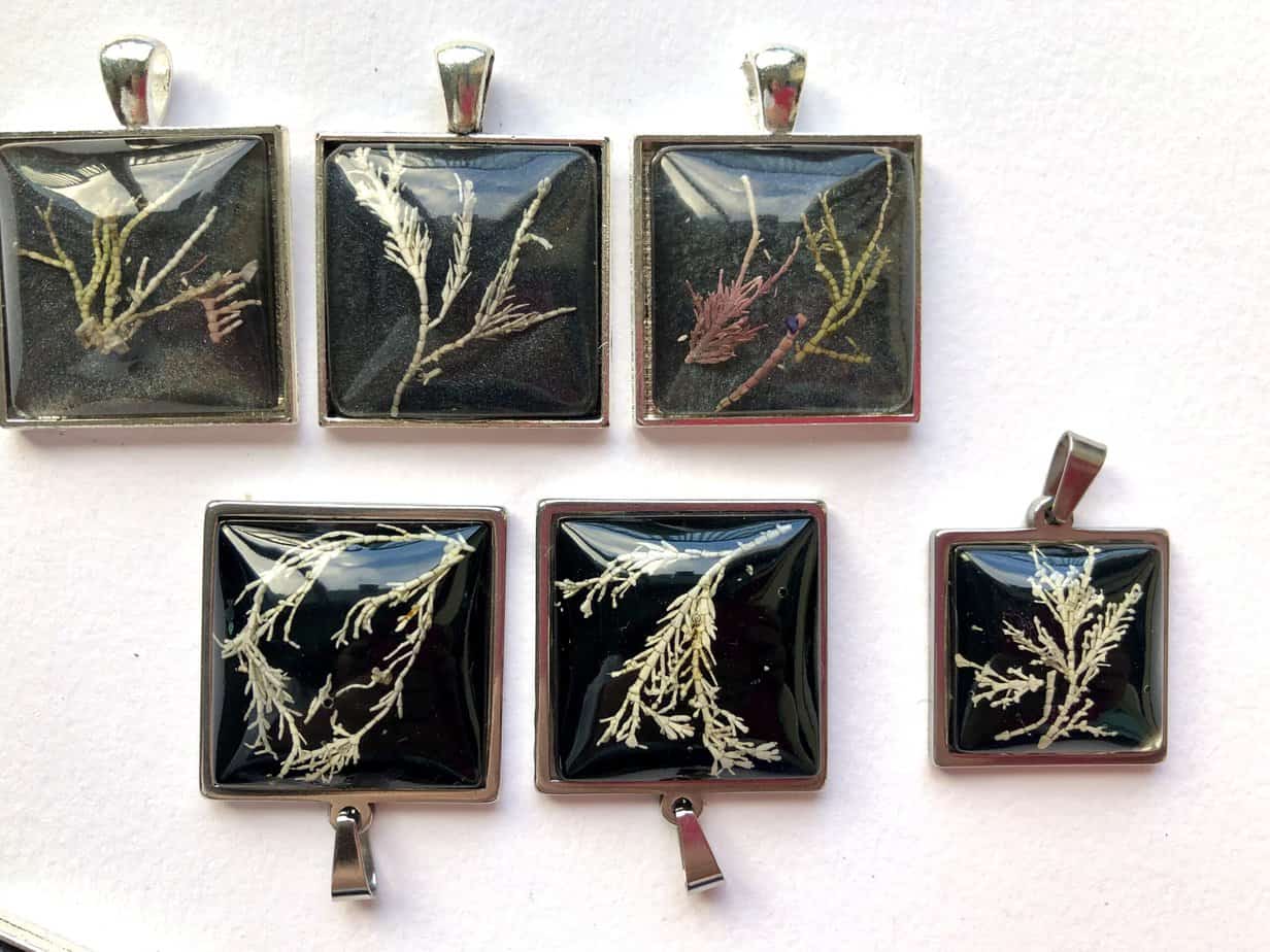 Seaweed pendants with shimmering black night sky background. - Image 4