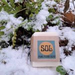 Pure Plain Soap