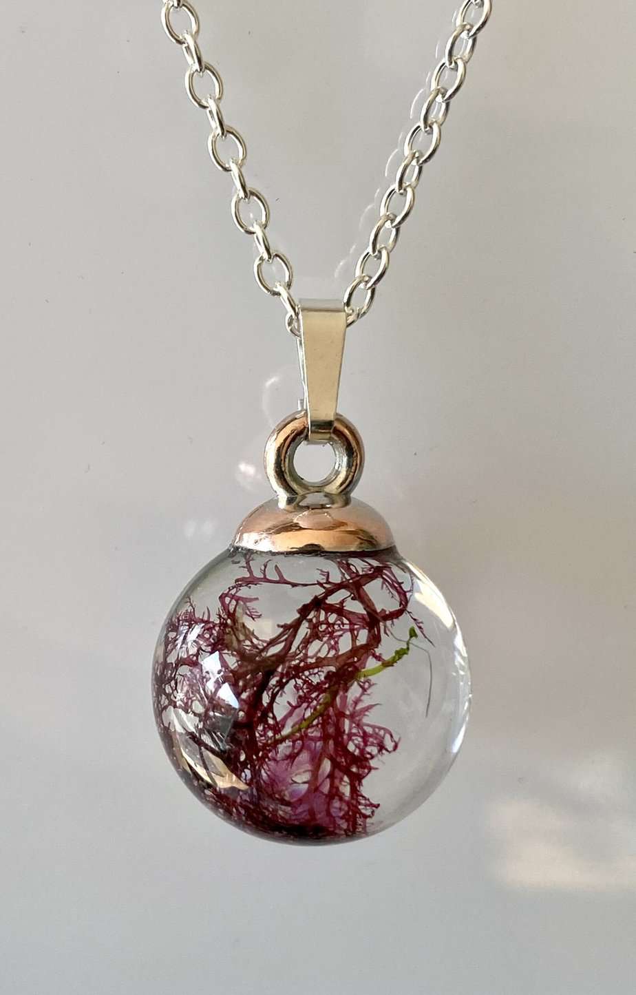 Real Seaweed pendant. Red Fern - Image 2