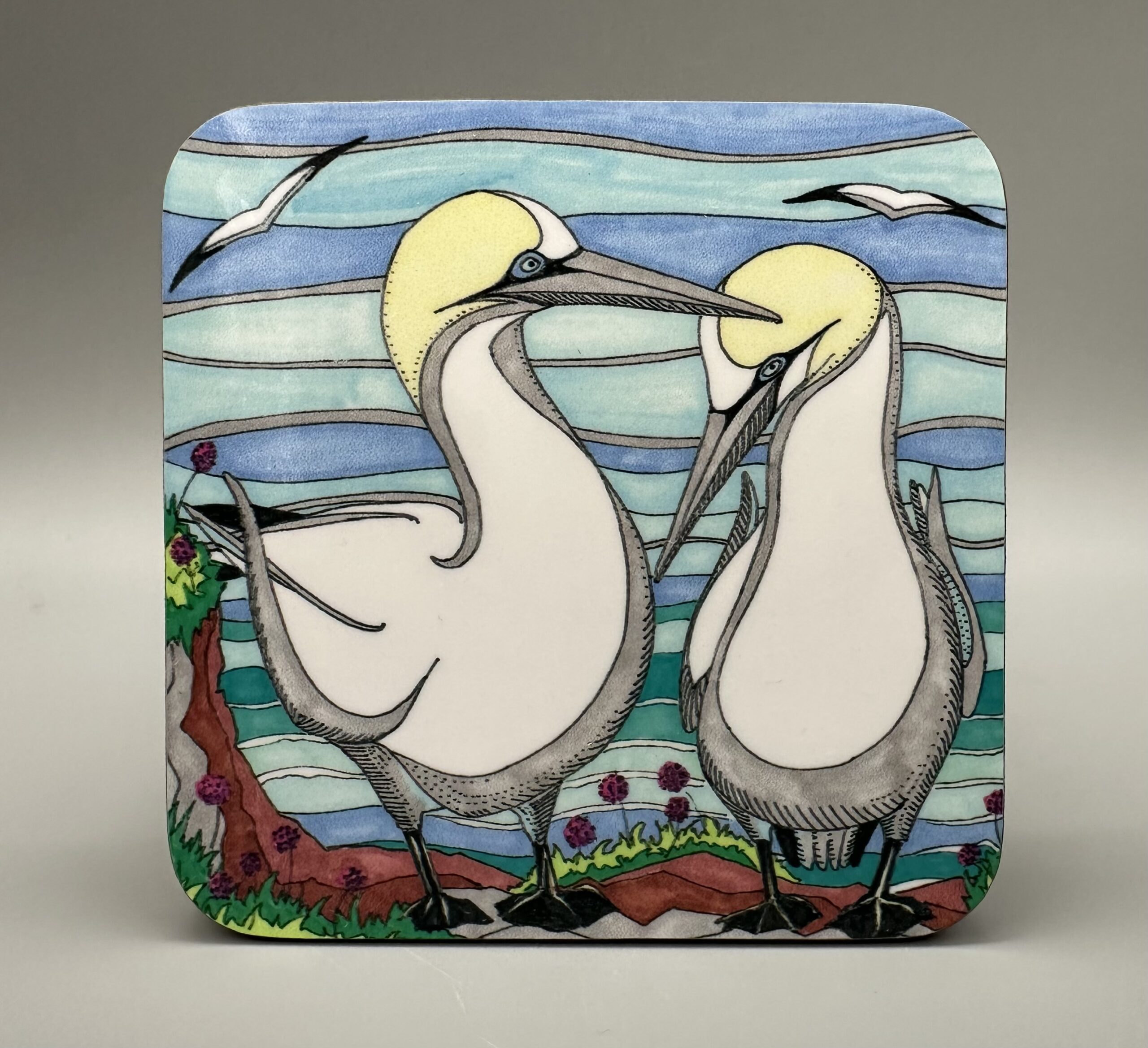 Gannet Coaster