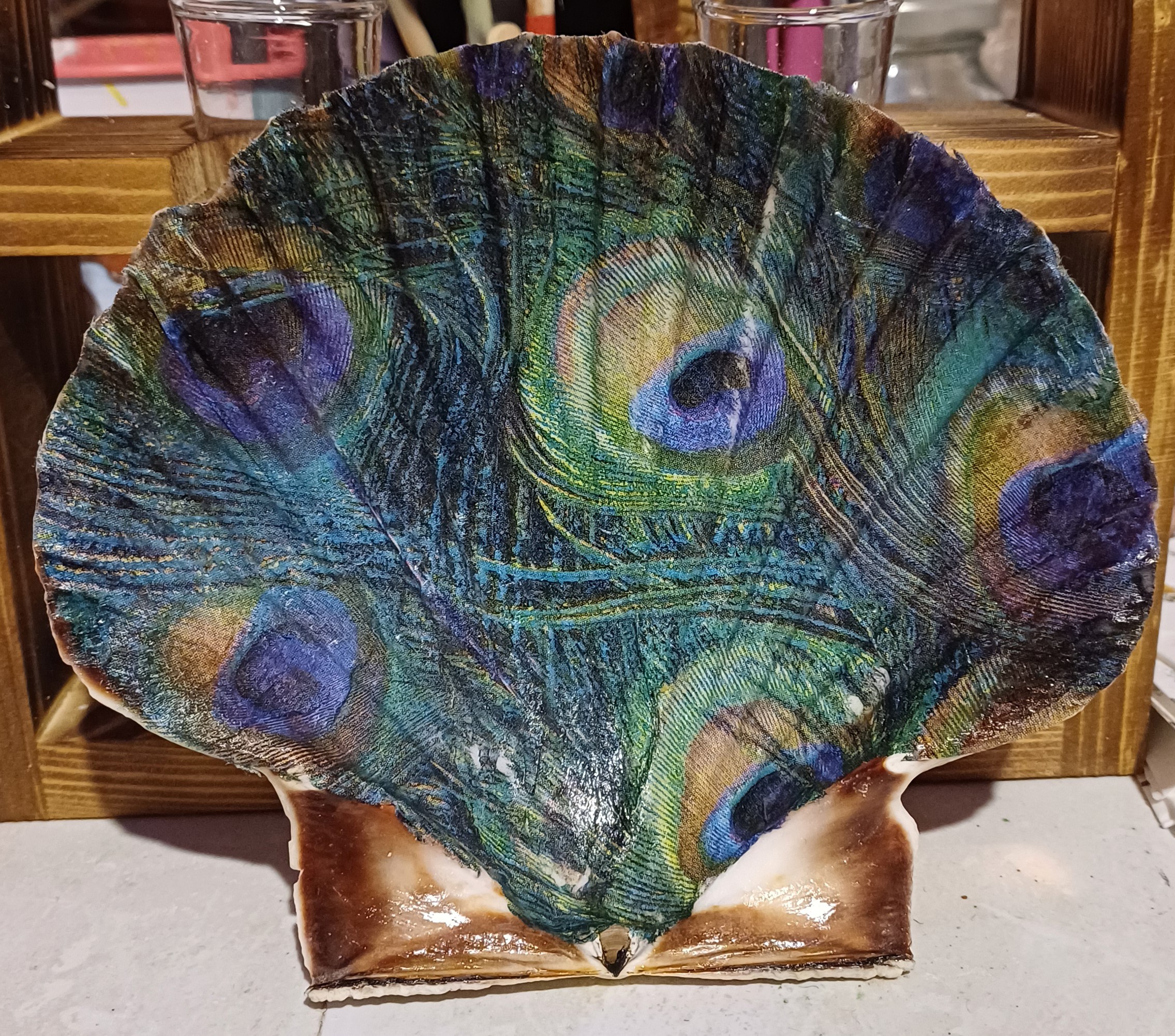 Peacocks Glory