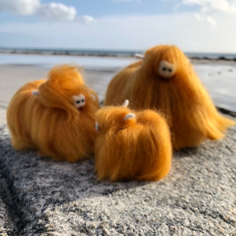 Tiree Coos